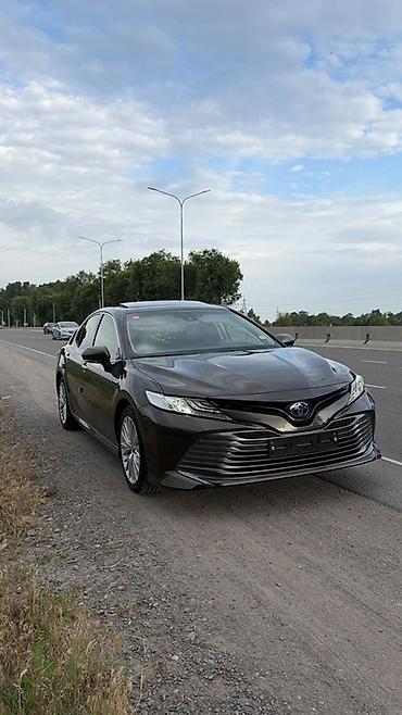 авто сиденья бу бишкек: Toyota Camry: 2019 г., 2.5 л, Автомат, Гибрид, Седан — 5