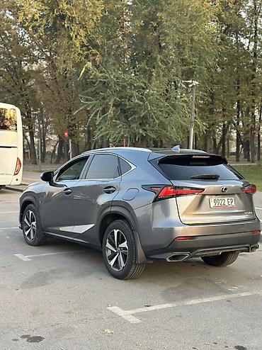 lexus js: Lexus NX: 2020 г., 2 л, Автомат, Бензин, Кроссовер — 3