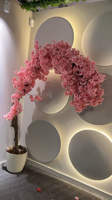 Digər ev dekoru: Kv 25 azn baslayan yasil dekorlar
Her olcude hazrlanr 
Depodan satis — 21