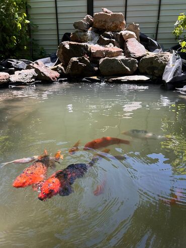 Посуточная аренда домов: 60 м², 3 комнаты, Теплый пол, Евроремонт, Кондиционер — 20