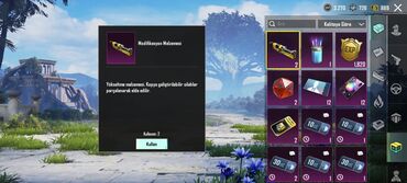 Digər: PUBG Mobile oyun hesabı – kosmetik və laboratoriya səviyyəli kontentlə — 2