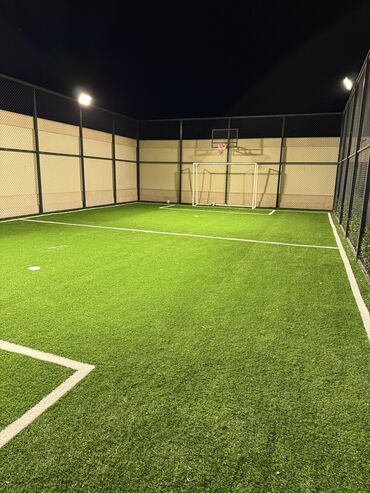 Bağ və bostan üçün digər məhsullar: Yasil hasarlarin ve suniqazonarin topdan ve perekende satisi endirimer — 8