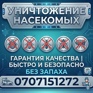 Клининговые услуги: Дезинфекция, дезинсекция, | Блохи, Клопы, Муравьи, | Дома, Кафе, магазины, Квартиры — 1