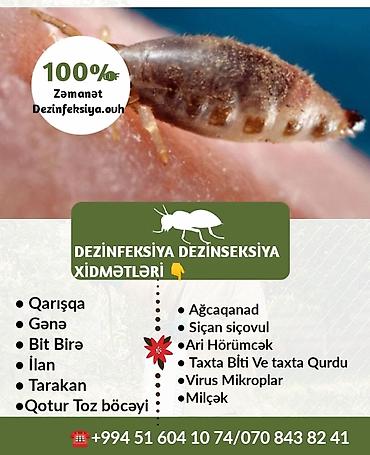 hamster kafesi: Dermanlama Zemanetli dezinfeksiya xidmeti dezinfeksiya xidməti — 7