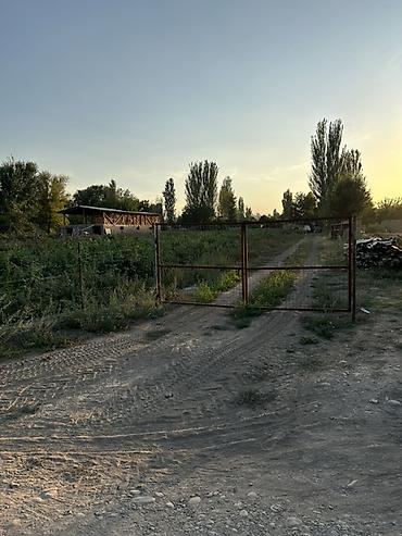 участок обмен: 12 соток, Для сельского хозяйства, Красная книга — 1