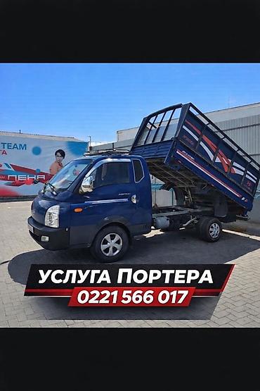 скутар макси: Заказать Мерседес грузовой спринтер, Перевозка скота, C грузчиком — 1