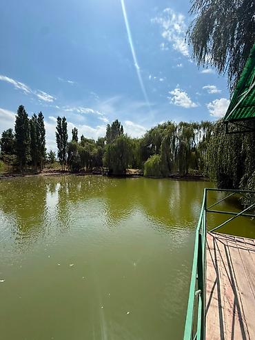 новопаловка: 305 соток, Для строительства, Красная книга, Договор купли-продажи — 7
