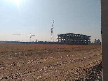кара балта поля: 20 соток, Красная книга — 2