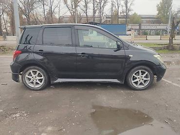 ats cup: Toyota Ist: 2003 г., 1.5 л, Автомат, Бензин, Хэтчбэк — 5