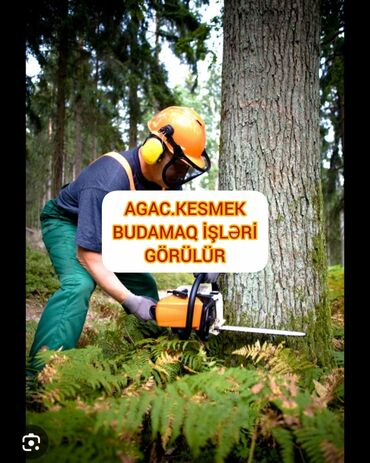Другие услуги: Xidmət: Ağac kəsmə və budama - Həyətyanı sahələrdə, bağlarda, meşə