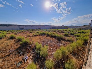 Torpaq sahələrinin satışı: 36 sot, Tikinti, Makler, Kupça (Çıxarış) — 4