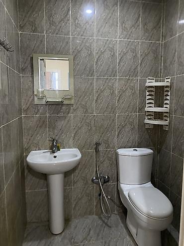 das stekan: Moyka ve guzgu - Rakovina: sütunlu model, qarışdırıcı kranla. - — 2