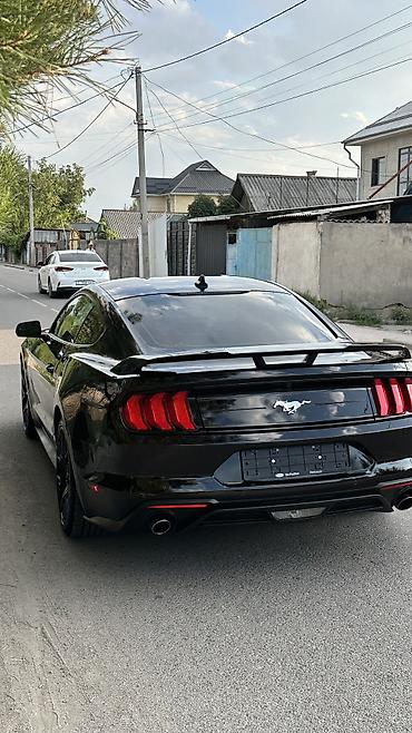 m111 2.3 kompressor купить: Ford Mustang: 2020 г., 2.3 л, Автомат, Бензин, Купе — 5