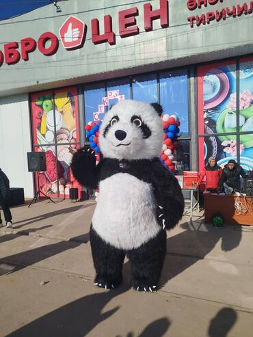 Организация мероприятий: Организация мероприятий | Оформление мероприятий — 15