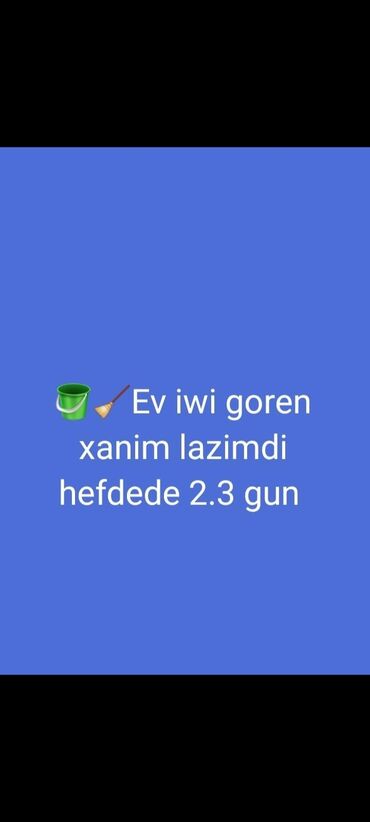 Tibb, əczaçılıq: Ev qulluqçuları