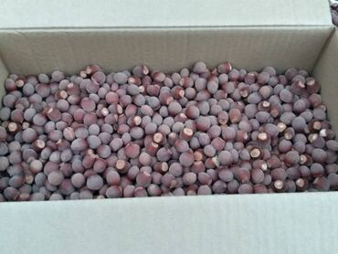 мяч мини: Орех лещина, урожай 2025 г
500 сом кг