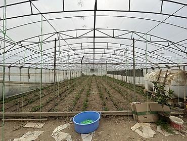 dam ortukleri: İstixana kompleksi – dam örtüyü karkaslı, tam işlək əkin sahələri və — 7