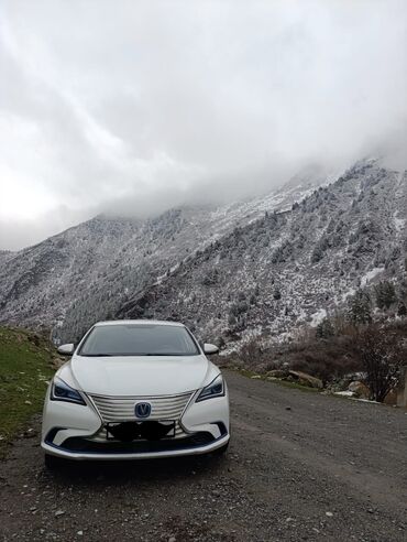 срочна машина: Changan Eado Год : 2019 Запас хода : 400 Летом 300-350 Зима 200-250