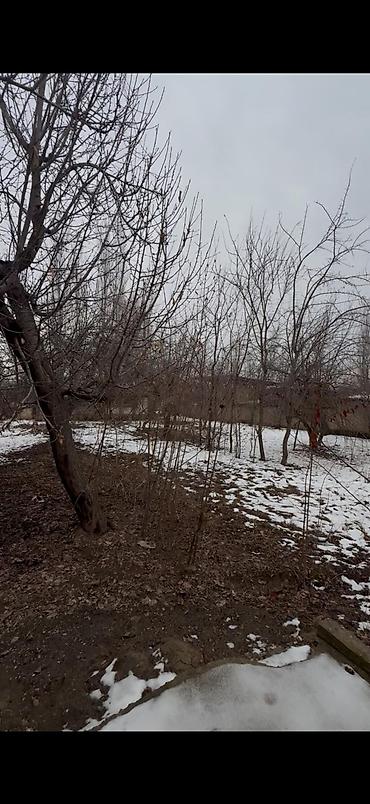 Продажа коттеджей и домов: Окуу жана окуу ❗ жакшы бада жер үй сатылат адрес Жалал-Абад шаарында — 16