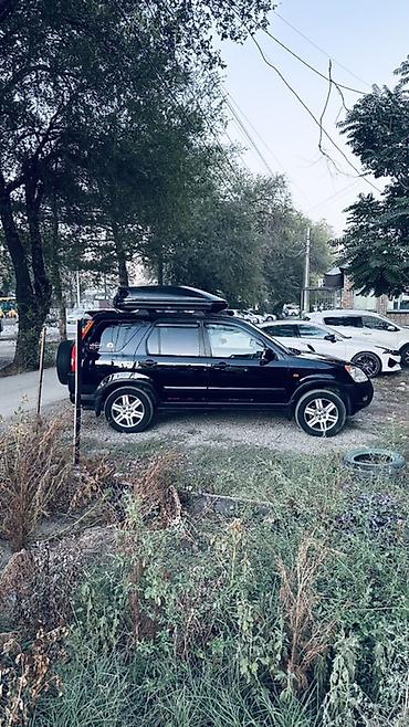 crv 2001: Honda CR-V: 2003 г., 2 л, Автомат, Бензин, Кроссовер — 5