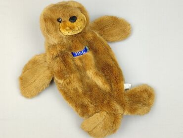 Mascot condition - Perfect