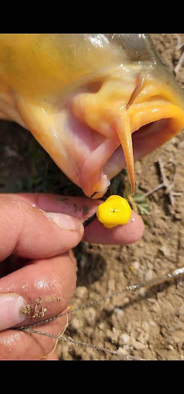 Рыболовная оснастка: Силиконовая кукуруза 
проверенные! — 7