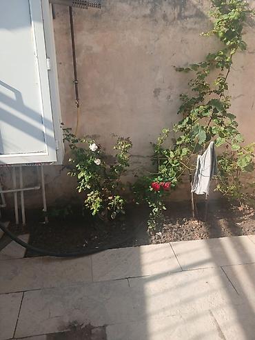 Həyət evləri və villaların satışı: Binəqədi qəs. 3 otaqlı, 150 kv. m, Kredit yoxdur, Yeni təmirli — 8