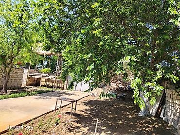 hokmelide heyet evi: 3 otaqlı, 5 kv. m — 3