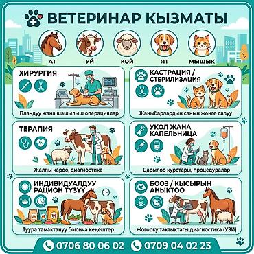 ремонт мотоблоков: Ветеринар сельскохозяйственных животных. Мы проводим: *Диагностику — 1