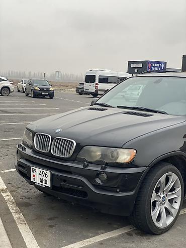 BMW: BMW X5: 2003 г., 3 л, Автомат, Дизель, Внедорожник — 5