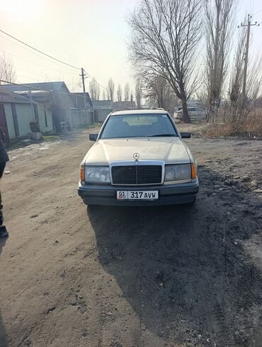 Mercedes-Benz: Mercedes-Benz W124: 1987 г., 2.3 л, Механика, Дизель, Универсал — 1