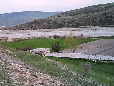cülyan kəndi: Kənd təsərrüfatı, Kupça (Çıxarış), Müqavilə — 4