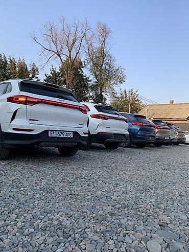 Другие аксессуары внешнего декора: Линейка кроссоверов (на фото — несколько экземпляров одного семейства) — 3