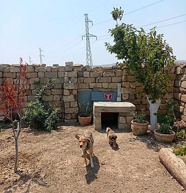 bakıda ev: Saray, 45 kv. m, 1 otaqlı, Su, İşıq — 6