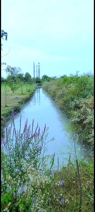 əhmədli ev alqi satqisi: 650 sot, Kənd təsərrüfatı, Maklerlər narahat etməsin, Kupça (Çıxarış) — 8