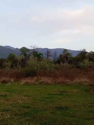 Torpaq sahələrinin satışı: 12 sot, Kənd təsərrüfatı, Mülkiyyətçi, Kupça (Çıxarış), Bələdiyyə -da lalafo.az — 8 Torpaq sahələrinin satışı: 12 sot, Kənd təsərrüfatı, Mülkiyyətçi, Kupça (Çıxarış), Bələdiyyə — 8