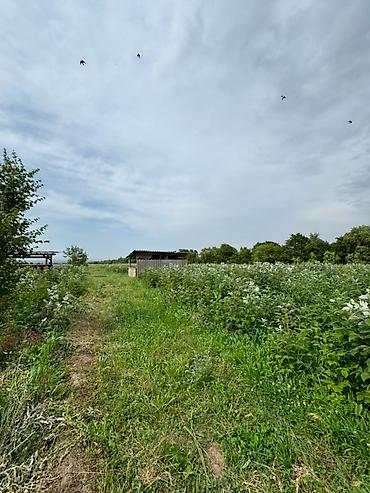 жал село: 155 соток, Для сельского хозяйства, Договор купли-продажи — 4