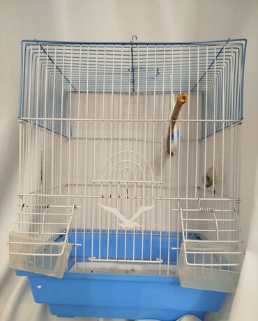 Qəfəslər: Mavi rəngli plastik altlığı və ağ metal toru olan bu ev heyvanı qəfəsi