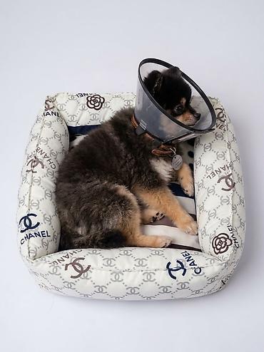 животные для дома: 🐾 Уютное место для комфортного отдыха вашего любимца 🤍 В нашей — 2