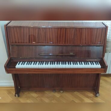 Soyuducular: Pianino 180₼ satılır
Nərimanov

5070 Zeyno♥️
