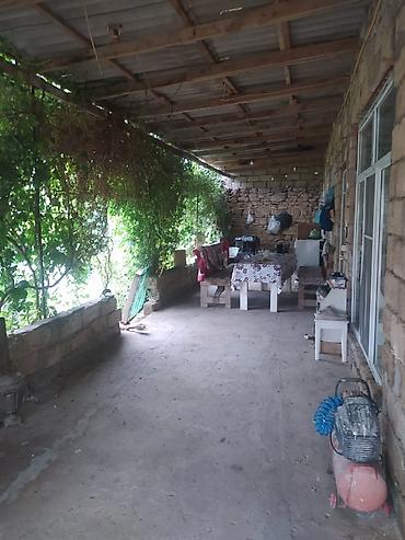 usda aleti: Məhsul: Meyvə və tərəvəzli fərdi bağ sahəsi Təsvir: - Yaşıl və sərin — 5