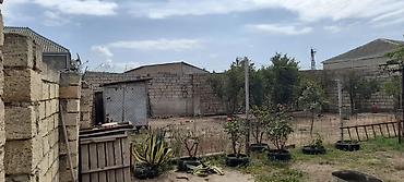qaxda satilan evler: Həyətyanı torpaq sahəsi və quşçuluq üçün hazır infrastruktur - Geniş — 2