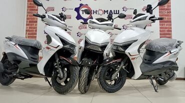 Скутеры: Тип скутера Ангел, 150 куб. см, Бензин, Новый — 13