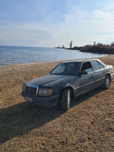 Mercedes-Benz: Mercedes-Benz W124: 1991 г., 2.3 л, Механика, Бензин, Седан