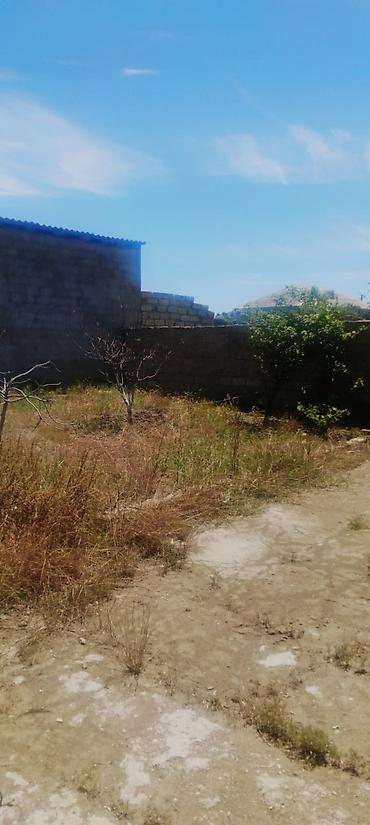 albali: 5 sot, Tikinti, Kupça (Çıxarış) — 1