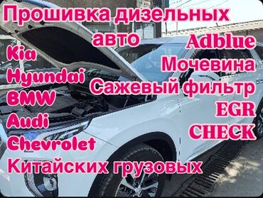 Другие автоуслуги: Прошивка и диагностика Kia Hyundai BMW Audi Chevrolet SsangYong