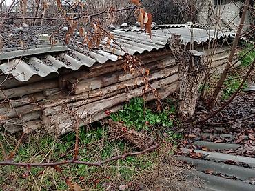 уличные: Терек,Ош Араванда 4,5 м 90 шт 45 000сом — 1