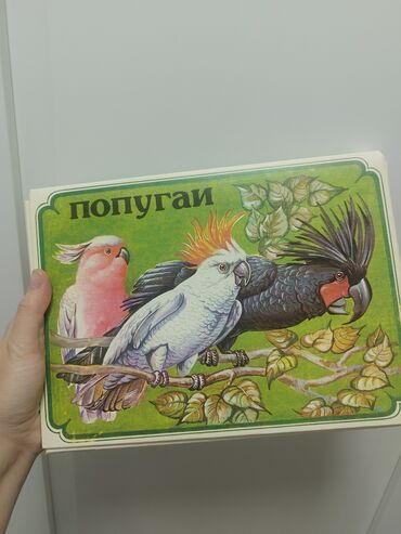 коллекция: Коллекционные спички набор попугаи 18 коробков, все целые район