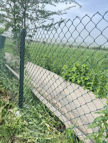 Сетка рабица: Сетка рабица, Длина: 10 м, Новый — 10