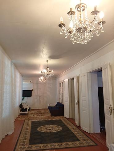 papaninde satilan heyet evleri: 4 otaqlı, 240 kv. m — 6